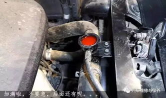 汽车水箱是多少l